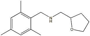 (oxolan-2-ylmethyl)[(2,4,6-trimethylphenyl)methyl]amine 구조식 이미지