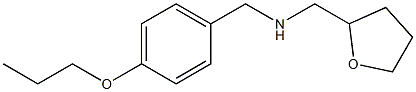 (oxolan-2-ylmethyl)[(4-propoxyphenyl)methyl]amine 구조식 이미지