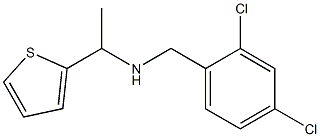 [(2,4-dichlorophenyl)methyl][1-(thiophen-2-yl)ethyl]amine Structure