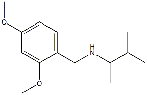 [(2,4-dimethoxyphenyl)methyl](3-methylbutan-2-yl)amine 구조식 이미지