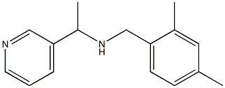 [(2,4-dimethylphenyl)methyl][1-(pyridin-3-yl)ethyl]amine 구조식 이미지