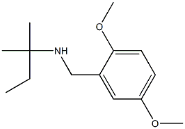 [(2,5-dimethoxyphenyl)methyl](2-methylbutan-2-yl)amine Structure