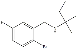 [(2-bromo-5-fluorophenyl)methyl](2-methylbutan-2-yl)amine 구조식 이미지