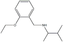 [(2-ethoxyphenyl)methyl](3-methylbutan-2-yl)amine 구조식 이미지