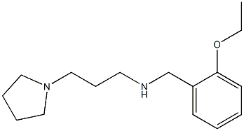 [(2-ethoxyphenyl)methyl][3-(pyrrolidin-1-yl)propyl]amine 구조식 이미지