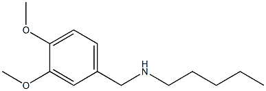[(3,4-dimethoxyphenyl)methyl](pentyl)amine 구조식 이미지