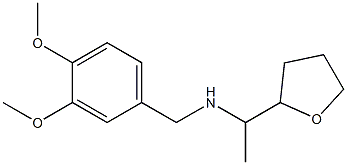 [(3,4-dimethoxyphenyl)methyl][1-(oxolan-2-yl)ethyl]amine Structure