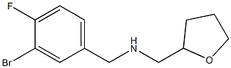[(3-bromo-4-fluorophenyl)methyl](oxolan-2-ylmethyl)amine Structure