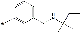 [(3-bromophenyl)methyl](2-methylbutan-2-yl)amine Structure