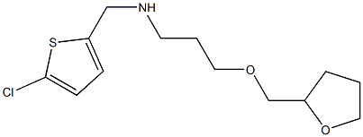 [(5-chlorothiophen-2-yl)methyl][3-(oxolan-2-ylmethoxy)propyl]amine Structure