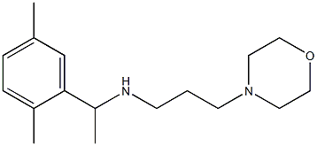 [1-(2,5-dimethylphenyl)ethyl][3-(morpholin-4-yl)propyl]amine Structure