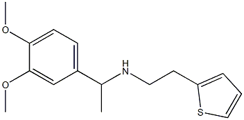 [1-(3,4-dimethoxyphenyl)ethyl][2-(thiophen-2-yl)ethyl]amine Structure