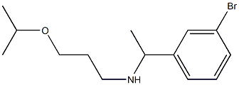 [1-(3-bromophenyl)ethyl][3-(propan-2-yloxy)propyl]amine 구조식 이미지