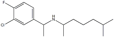 [1-(3-chloro-4-fluorophenyl)ethyl](6-methylheptan-2-yl)amine 구조식 이미지