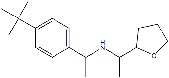 [1-(4-tert-butylphenyl)ethyl][1-(oxolan-2-yl)ethyl]amine 구조식 이미지