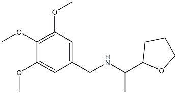 [1-(oxolan-2-yl)ethyl][(3,4,5-trimethoxyphenyl)methyl]amine Structure