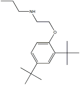 [2-(2,4-di-tert-butylphenoxy)ethyl](propyl)amine Structure