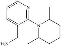 [2-(2,6-dimethylpiperidin-1-yl)pyridin-3-yl]methylamine Structure