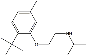 [2-(2-tert-butyl-5-methylphenoxy)ethyl](propan-2-yl)amine 구조식 이미지