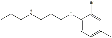 [3-(2-bromo-4-methylphenoxy)propyl](propyl)amine 구조식 이미지