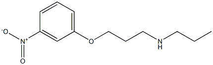 [3-(3-nitrophenoxy)propyl](propyl)amine Structure