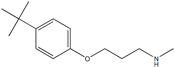 [3-(4-tert-butylphenoxy)propyl](methyl)amine 구조식 이미지