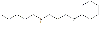 [3-(cyclohexyloxy)propyl](5-methylhexan-2-yl)amine Structure