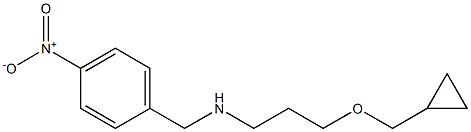 [3-(cyclopropylmethoxy)propyl][(4-nitrophenyl)methyl]amine 구조식 이미지