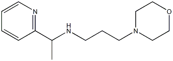 [3-(morpholin-4-yl)propyl][1-(pyridin-2-yl)ethyl]amine Structure