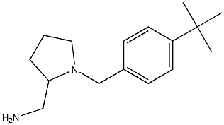 {1-[(4-tert-butylphenyl)methyl]pyrrolidin-2-yl}methanamine 구조식 이미지