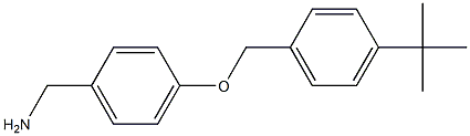 {4-[(4-tert-butylphenyl)methoxy]phenyl}methanamine Structure