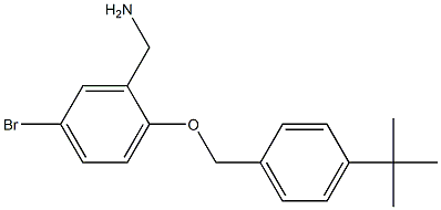 {5-bromo-2-[(4-tert-butylphenyl)methoxy]phenyl}methanamine 구조식 이미지