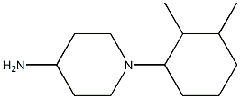 1-(2,3-dimethylcyclohexyl)piperidin-4-amine Structure