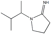 1-(3-methylbutan-2-yl)pyrrolidin-2-imine Structure