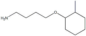 1-(4-aminobutoxy)-2-methylcyclohexane Structure