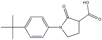 1-(4-tert-butylphenyl)-2-oxopyrrolidine-3-carboxylic acid Structure
