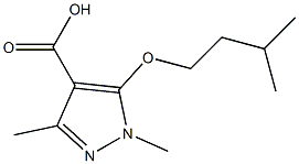 1,3-dimethyl-5-(3-methylbutoxy)-1H-pyrazole-4-carboxylic acid 구조식 이미지