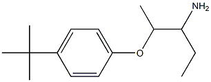 1-[(3-aminopentan-2-yl)oxy]-4-tert-butylbenzene Structure