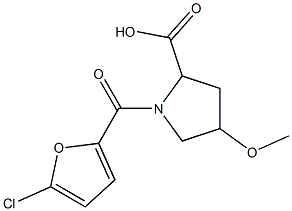 1-[(5-chlorofuran-2-yl)carbonyl]-4-methoxypyrrolidine-2-carboxylic acid Structure
