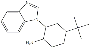 2-(1H-1,3-benzodiazol-1-yl)-4-tert-butylcyclohexan-1-amine Structure