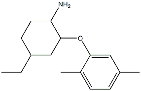 2-(2,5-dimethylphenoxy)-4-ethylcyclohexan-1-amine Structure