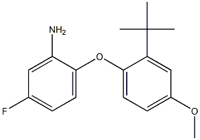 2-(2-tert-butyl-4-methoxyphenoxy)-5-fluoroaniline 구조식 이미지