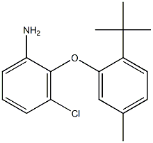 2-(2-tert-butyl-5-methylphenoxy)-3-chloroaniline Structure