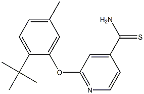 2-(2-tert-butyl-5-methylphenoxy)pyridine-4-carbothioamide 구조식 이미지