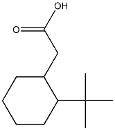 2-(2-tert-butylcyclohexyl)acetic acid Structure