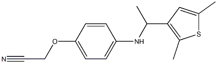 2-(4-{[1-(2,5-dimethylthiophen-3-yl)ethyl]amino}phenoxy)acetonitrile 구조식 이미지