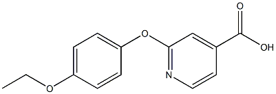 2-(4-ethoxyphenoxy)pyridine-4-carboxylic acid 구조식 이미지