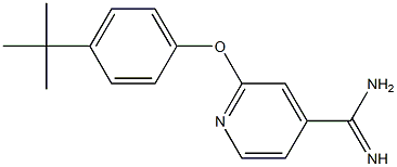 2-(4-tert-butylphenoxy)pyridine-4-carboximidamide 구조식 이미지