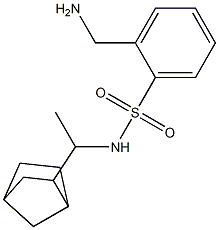 2-(aminomethyl)-N-(1-{bicyclo[2.2.1]heptan-2-yl}ethyl)benzene-1-sulfonamide 구조식 이미지