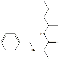 2-(benzylamino)-N-(pentan-2-yl)propanamide 구조식 이미지